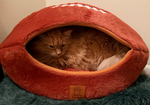 The Touchdown Bed™ Football-Shaped Cozy Cave Bed for Pets